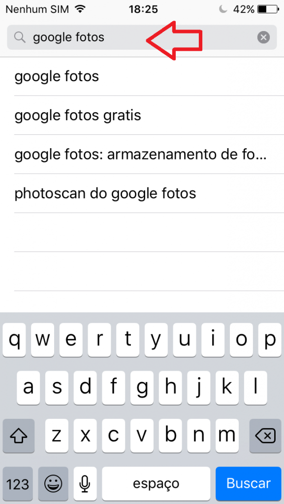 print da busca google fotos